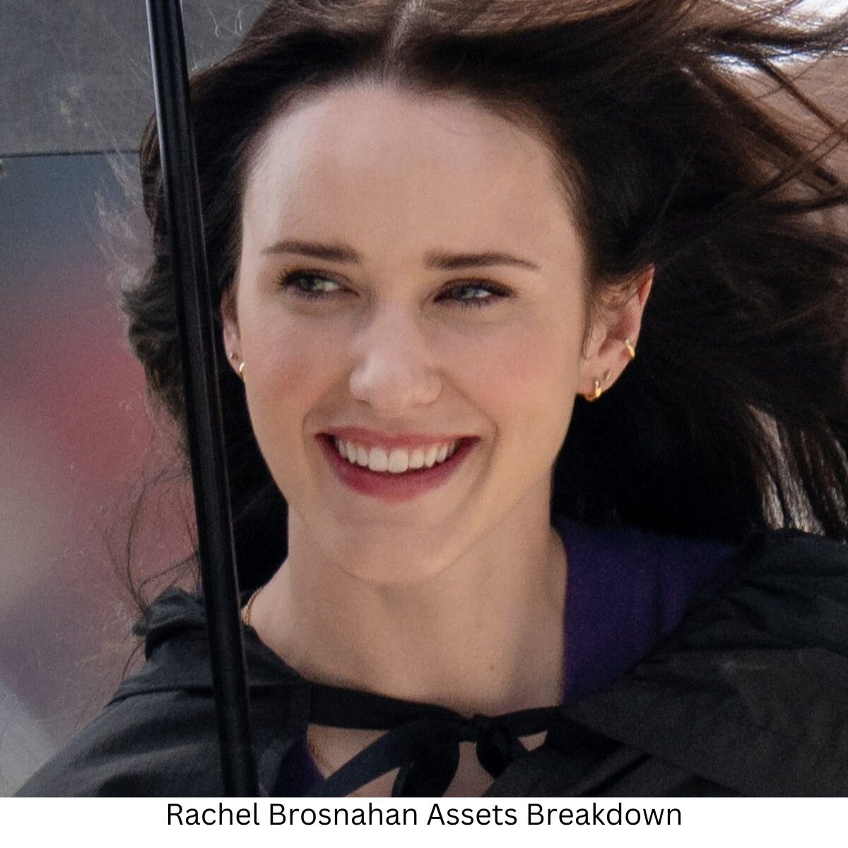 Detailed financial analysis of Rachel Brosnahan net worth 2024.